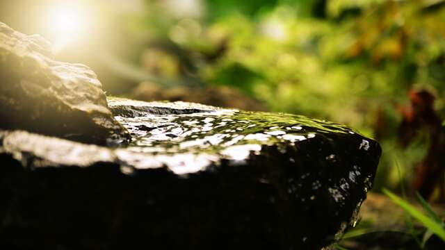 Relaxation en pleine nature - Les Ateliers d'Evyoute