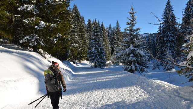 Schneeschuh-Route : Verbindung Les Saisies