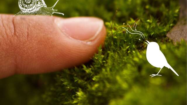 Sentir et toucher le vivant au Bout du Lac l Renc'Arts du Parc