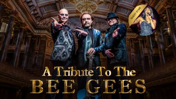 Night Fever - A Tribute To The Bee Gees