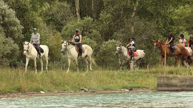 Balades à cheval