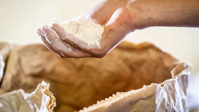Stage rando et boulangerie créative