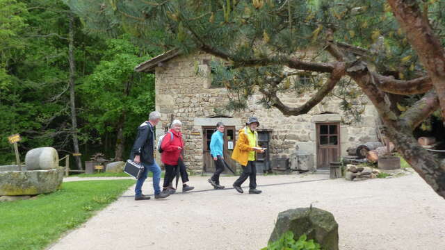 Enquête au Moulin des Massons : le trésor du moulin