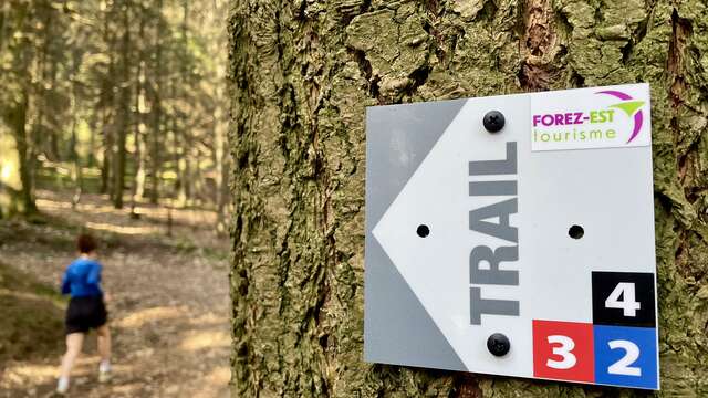 Parcours trail 4 - Maratrail de Violay