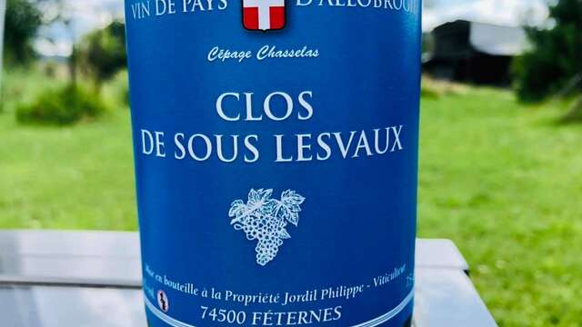 Vin de Féternes - Clos de sous Lesvaux