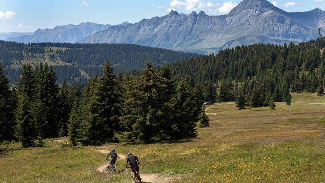 Downhill MTB - La Monchu