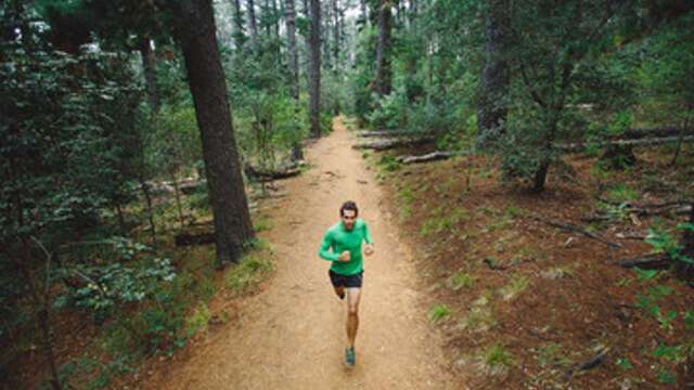 L'apprenti traileur - Trail N°1