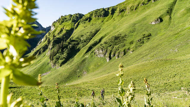 Randonnée - Pointe du Midi