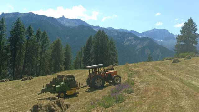 La ferme des Moulins