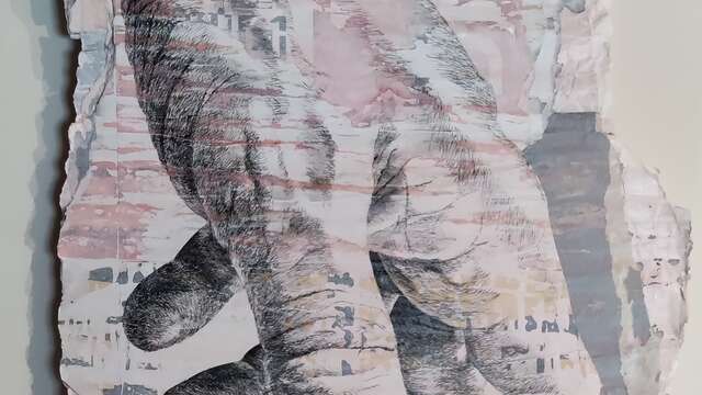Exposition "Recto Verso" par Xavier Spatafora