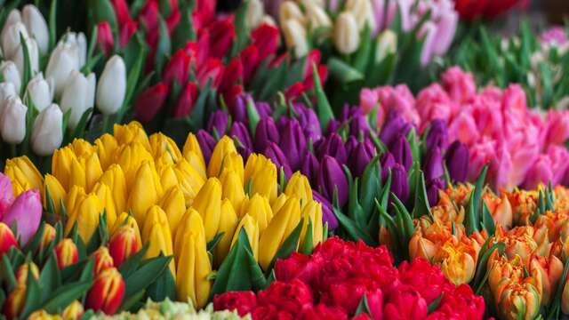 Marché aux fleurs