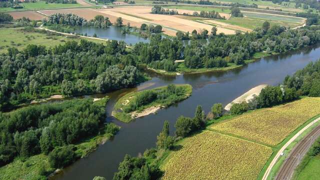 Les bords de l'Allier - PR n°60