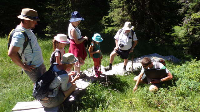 Guided tour of the Arpeliéres trail - peat bog animals