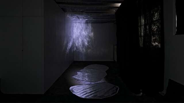 Performance artistique : The Space of the Tongue