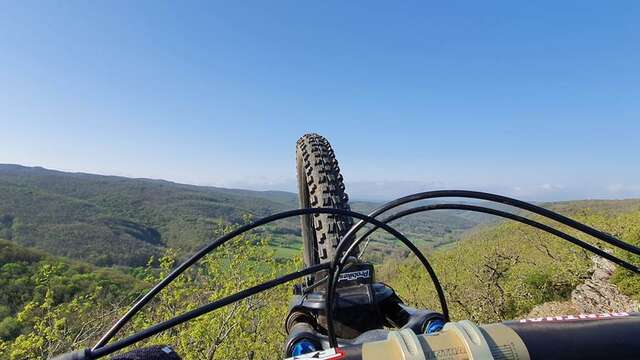 VTT AE (éléctrique)