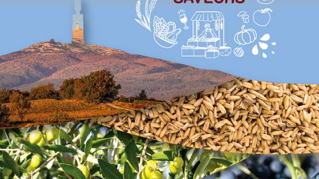 Festival Ventoux Saveurs : Visite de la ferme Hélicicole