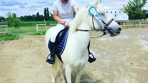 Tous en selle ! (découverte du cheval et du poney)