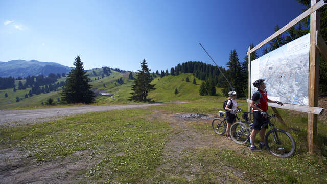 Piste de descente VTT La Marvel