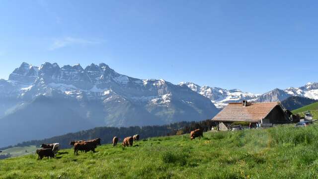 Foilleuse via La Chaux