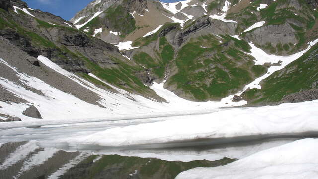 Itinéraire pédestre : Tour des Dents Blanches GR®P mini 4 jours à pieds - Etape 2 : Refuge de Bostan-Tornay > Refuge de la Vogealle