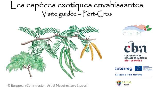 Balade nature Port-Cros : les trésors du Var menacés