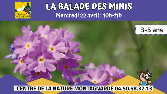 La Balade des Minis : Les minis couleurs de la nature