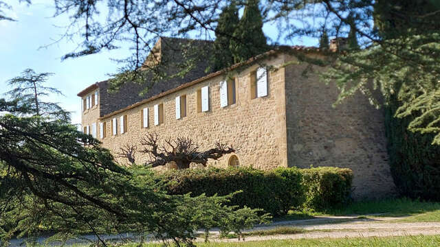 Initiation et dégustation au Château Saint Pierre de Mejans