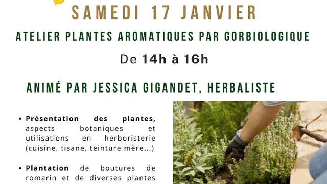 Laboratorio di piante aromatiche