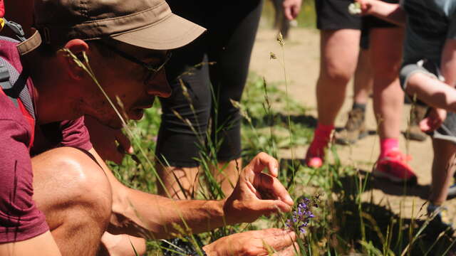 Balade : mon herbier gourmand