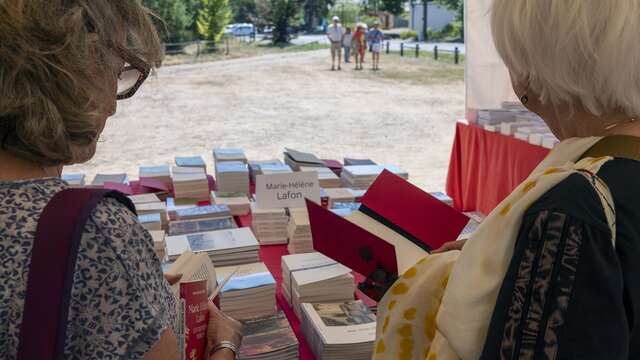 Lectures sous l'arbre