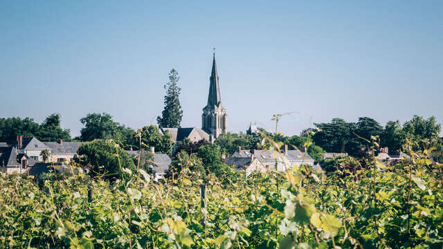 Parc du Fresne and its centuries-old plane tree