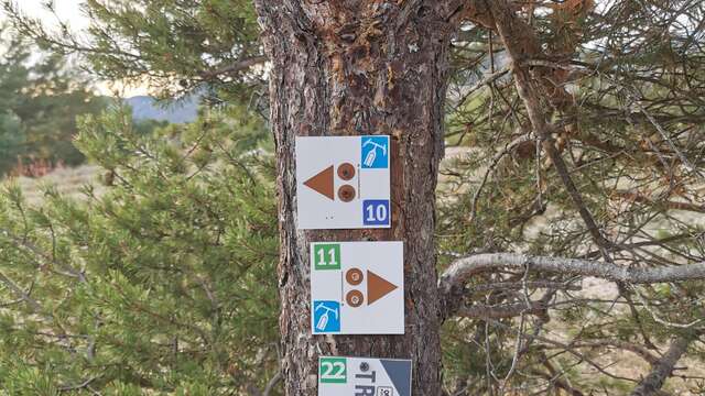 Circuit VTT N°10: La Nordique