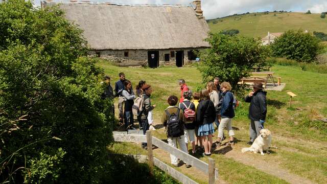 Visits, walking and food service in Jasserie du Coq Noir (Group)
