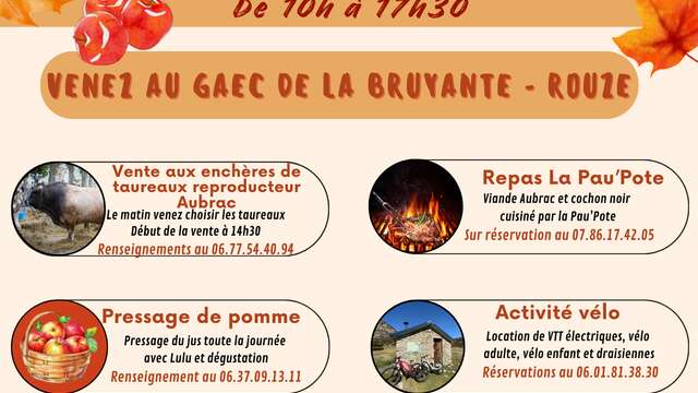 Fête de l'automne en donezan