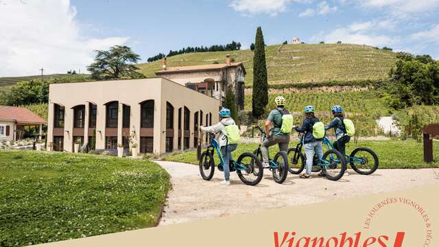 Balade en trott électrique tout terrain dans les vignobles - Terre de Syrah - Vignobles en scène