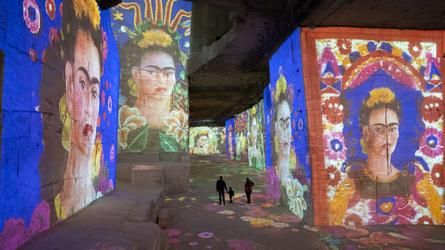 Carrières des Lumières 2026 : Picasso et Frida Kahlo