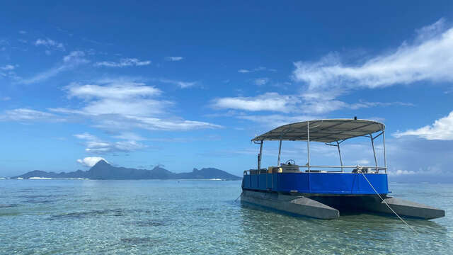 Kaoriki Tours