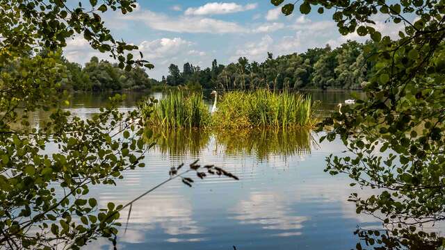 Gravière aux Oiseaux - « Ornithologues en herbe »