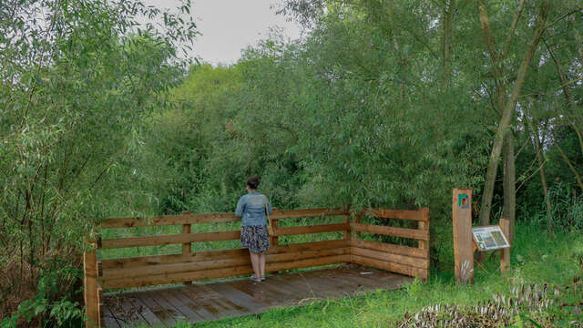 Les balades riorgeoises - Les ponts