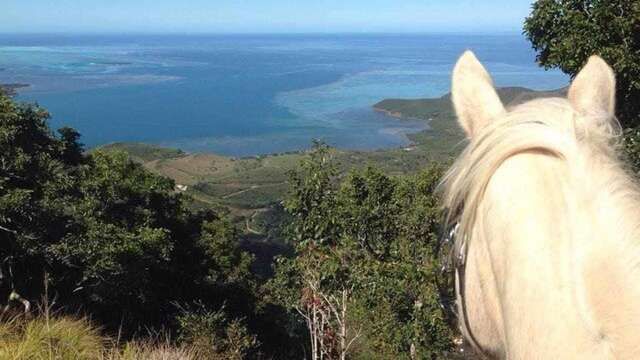 Horseback riding at Ranch de la Courie