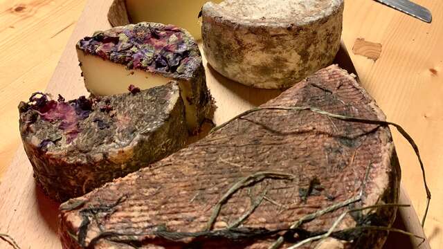 Les fondus de fromage