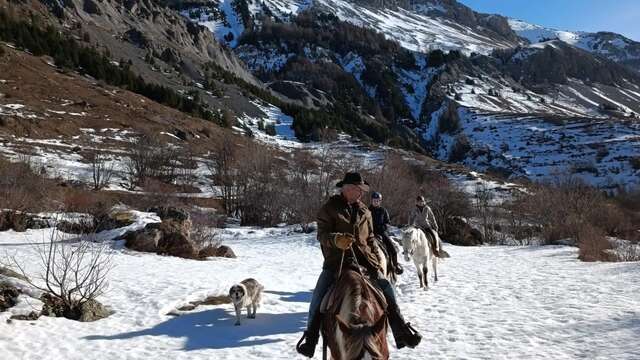 Randonnées à cheval