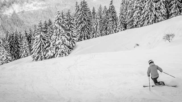 Initiation et découverte du Telemark - avec prêt de matériel
