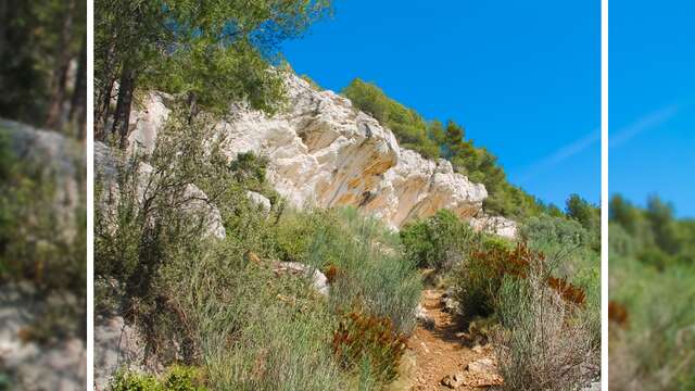 La Roche Curade (Der Felsen)