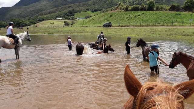 Balade à poney au parc provincial de Dumbéa - Yala Ranch