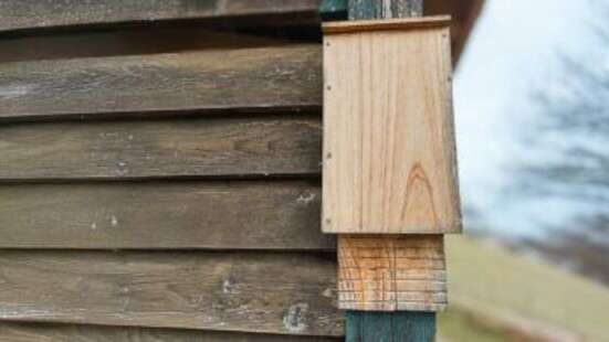 Les ateliers du jardin - Fabrication d'un abri à chauve-souris