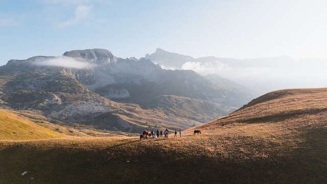 Zen Agritude : Rencontre Pastoralisme avec Mathilde, bergère au col de Rabou