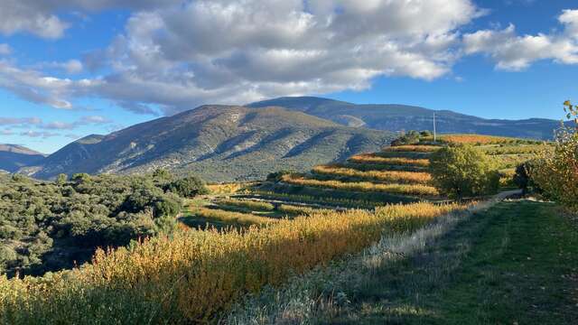 Balade dans les vergers au pied du Mont Ventoux - L'Atelier d'Hippolyte