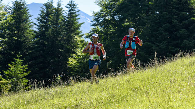 Trail du Col du Noyer