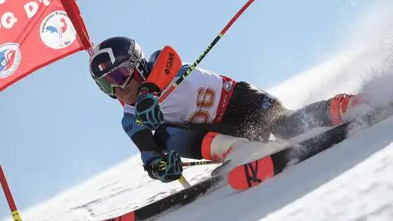 ESF competition course